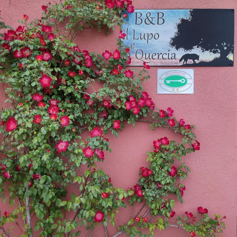 B&B Il Lupo E La Quercia Castelnuovo Magra Exterior photo